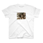 【AtSA】いしそら(るくでぃ)のe Regular Fit T-Shirt