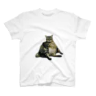 currycurryaoの頼もしいあきら文字なし Regular Fit T-Shirt