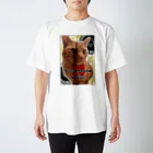 あしたのひまわりの茶トラの愛猫『虎乃助くん』 Regular Fit T-Shirt