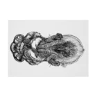 segasworksのレガリケラトプス…神様（白黒） Stickable Poster :horizontal position