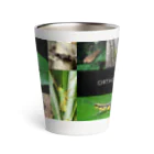直翅類.jpのORTHOPTERA Thermo Tumbler