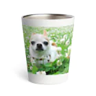 akane_art（茜音工房）のカラフルチワワ（クローバー） Thermo Tumbler