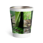 直翅類.jpのORTHOPTERA Thermo Tumbler