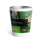 直翅類.jpのORTHOPTERA Thermo Tumbler