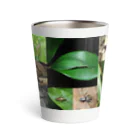 直翅類.jpのORTHOPTERA Thermo Tumbler
