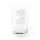 Samurai Gardenサムライガーデンのvintage RGX Water Glass :back