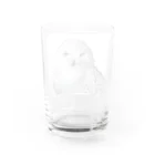 静かな山の頂へのフクロウ Water Glass :back