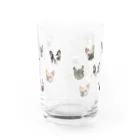 noe_to_meg (ノエとめぐ)のブヒがいっぱい Water Glass :back