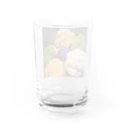 淡路島の風景のカリフラワー色々 Water Glass :back