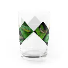 直翅類.jpのORTHOPTERA Water Glass :back