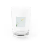 min P/Mのflower_001 Water Glass :front