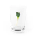 shiramizのあれっ…ネギ、ついてない？ Water Glass :front