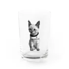 sari the catのsari the cat Vol.2 Water Glass :front