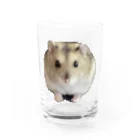 cozaoのたーさん Water Glass :front