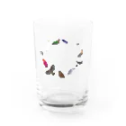 しまのなかまfromIRIOMOTEのしまのなかまスピンオフ『トリース』 （増量）文字が IRIOMOTEのみ Water Glass :front