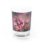yomogiのwink Water Glass :front
