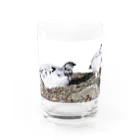 静かな山の頂への雷鳥のカップル Water Glass :front