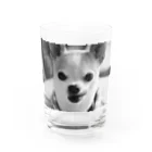 akane_art（茜音工房）のモノクロチワワ（ぺろんちょ） Water Glass :front