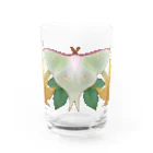 ニムニムのお部屋の大きな蛾 Water Glass :front