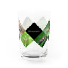 直翅類.jpのORTHOPTERA Water Glass :front