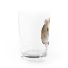 cozaoのたーさん Water Glass :left