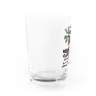 Samurai Gardenサムライガーデンのvintage RGX Water Glass :left