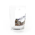 静かな山の頂への雷鳥のカップル Water Glass :left