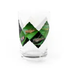 直翅類.jpのORTHOPTERA Water Glass :right