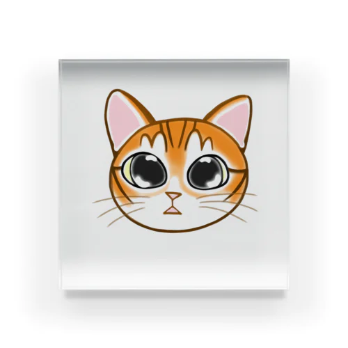 コタにゃ Acrylic Block