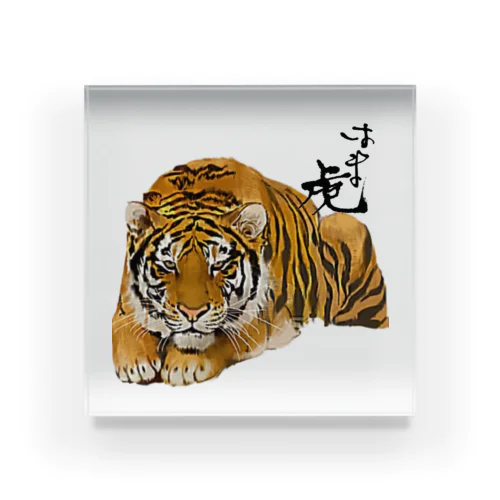 はま虎 猛虎ver. Acrylic Block