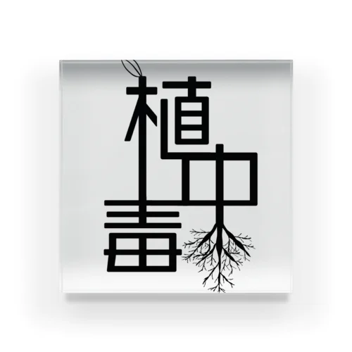 植中毒 Acrylic Block