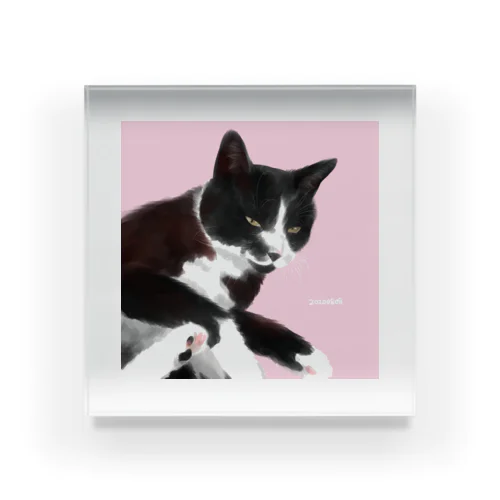 【うちねこちゃん】たまわん Acrylic Block