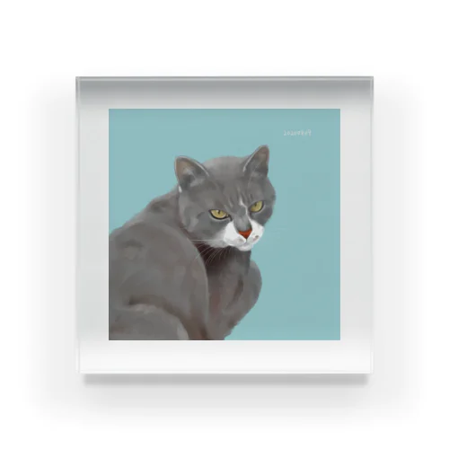 【うちねこちゃん】グレー Acrylic Block