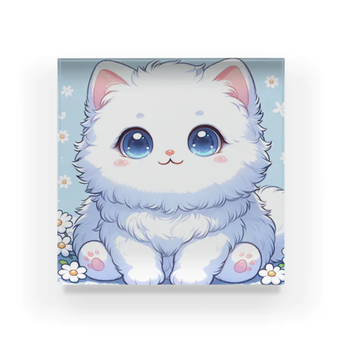 かわいい猫　ほわもこさん Acrylic Block