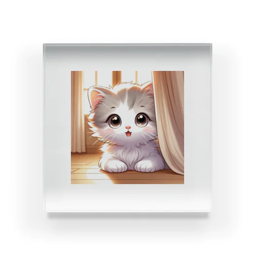 可愛い子猫 Acrylic Block