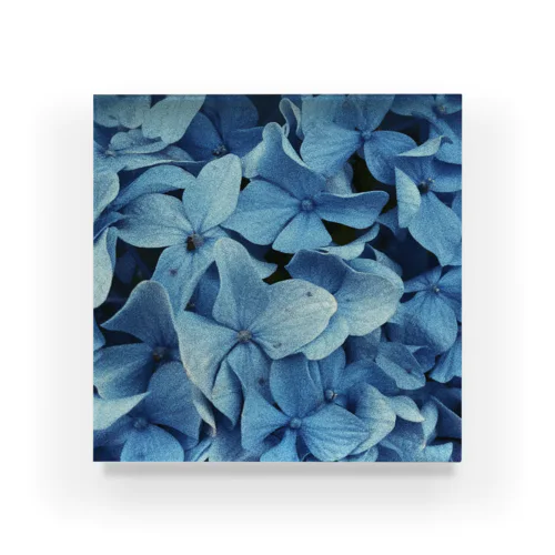 泡沫 Acrylic Block