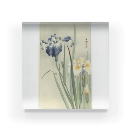 アイリス (1900 - 1936) Acrylic Block