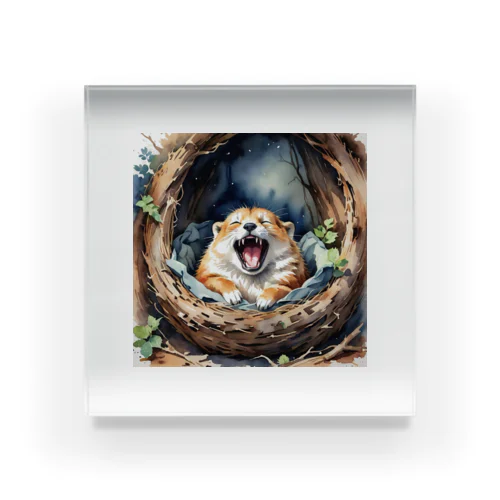 チャンク柴犬 Acrylic Block