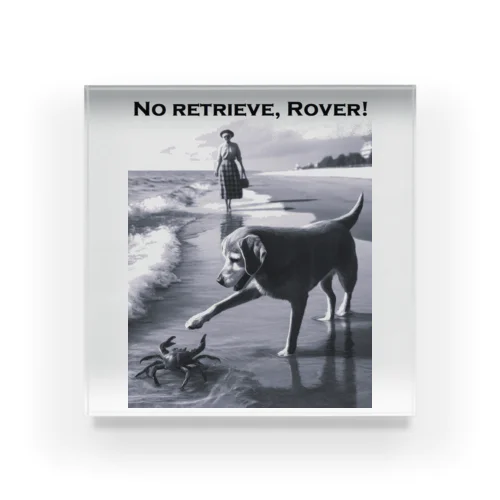 No Retrieve, Rover! (とって来ないでよ ローバー！) Acrylic Block