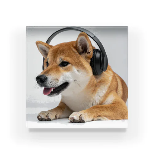 しばいぬヘッドホン Acrylic Block