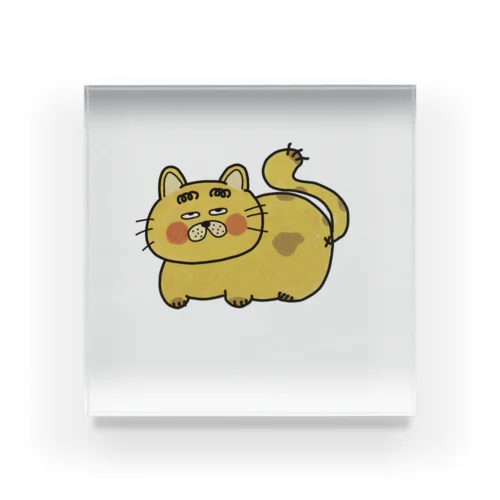 しゃいな猫ちゃん Acrylic Block