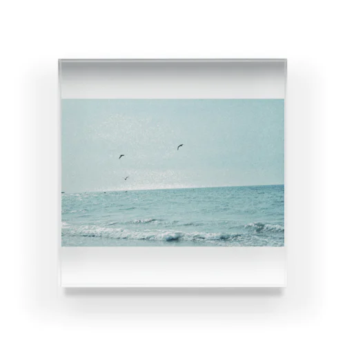 海カラス Acrylic Block