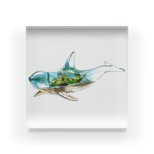 帰港【シャチ】 Acrylic Block