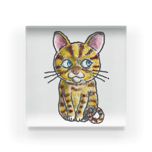 ちゃとくん Acrylic Block