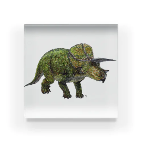Triceratops(drawing) color Acrylic Block