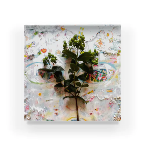 Hipericum Acrylic Block