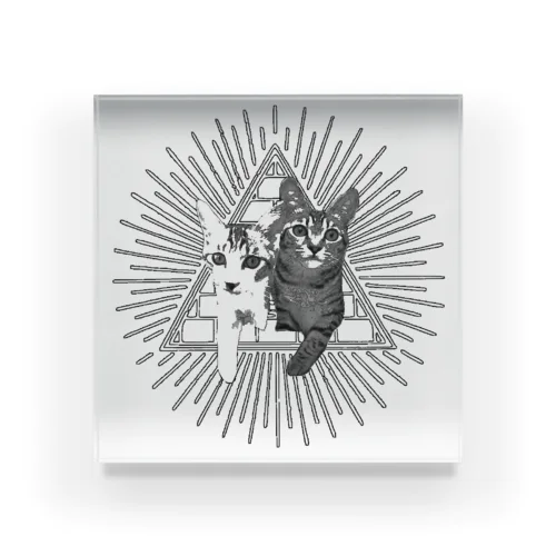 猫の秘密結社（白ぬき） Acrylic Block