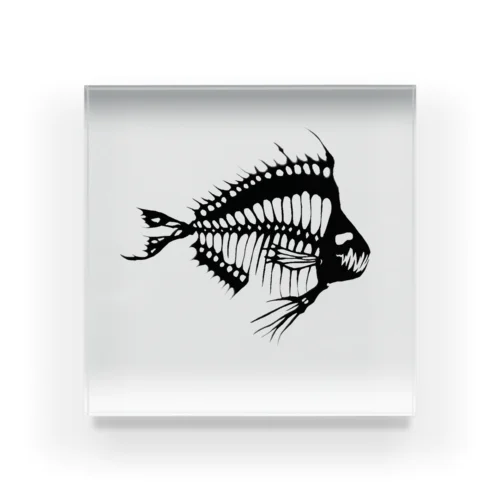 透魚骨(FIVE13) Acrylic Block