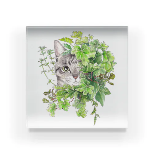 【瑞葉】 Acrylic Block