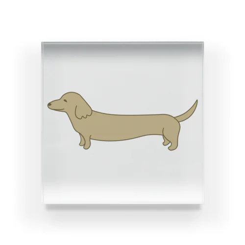 ダックスフント・クリーム Acrylic Block